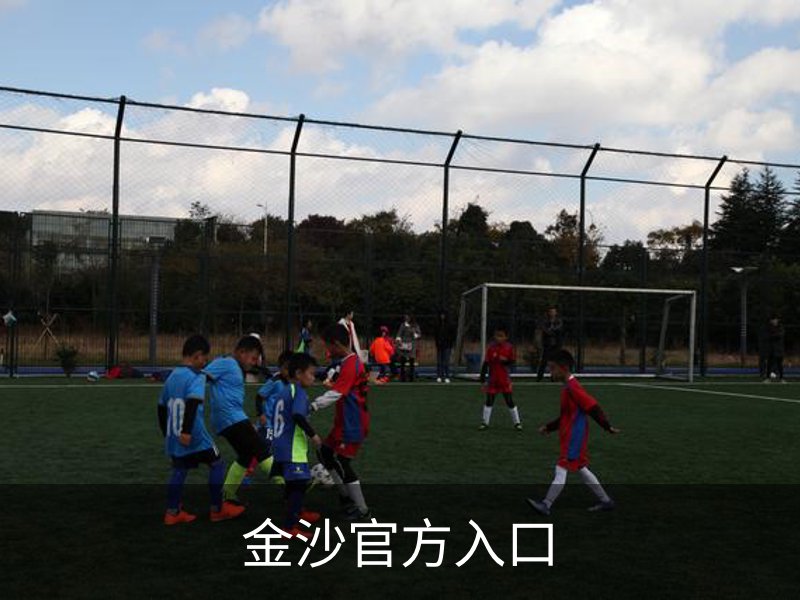 金沙官方入口概况